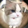 bubbleggum6