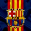 g1ntex_fcb