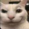 ajjxcu2