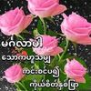 cholay674283
