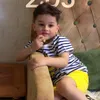 .3bsx2