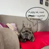 ma_rty_na88