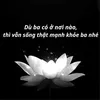 .nichphu2