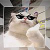 kucing_masuk_parit
