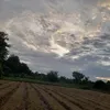 tsywbywxb54