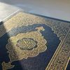 أنس عبد الودود