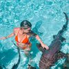 travelseekerabroa