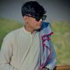 muharram.ali06