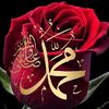 ابو محمد