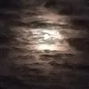 xe_xexexe_eva123