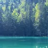 neyma_edit1