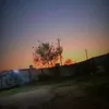 ekirdek63