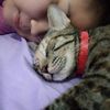 riani.lubis