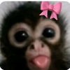 ivieokunoghae792
