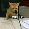 randomleeaks