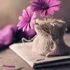 ashan2230
