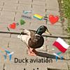 duck_aviation