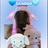 sandor_t1kt0k