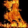 fire_horse.1