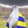 aloteb_3
