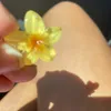 pttynana