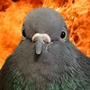upombomaluco