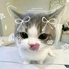 toca__..__xim0