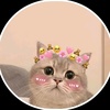 cute.cat1852