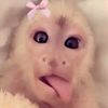 miyah_lovesfriends