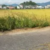 thuan.le24