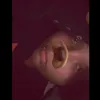 ula.ddraculaura