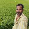 sopontalukdar846