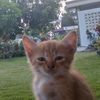 keyy........sigmaa