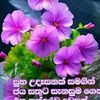 pathirana668