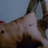 fabricio.zambrano0