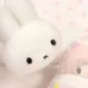 ♡池♎兮♡（酸酸、儒哥、儒妹、九逃、衣衣幫我簽過名版本）
