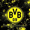 footballloverforeverbvb