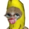 vds_altr