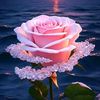 ice_berthe