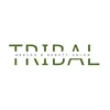tribalbraidsandbeauty