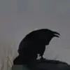 real_saul2