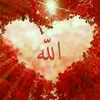 .user554554991331
