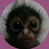 malouka_shehab11