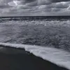_arlo_06