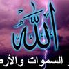 ahmed.aly280