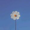 harumi_minimalism
