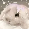 its_zuzia