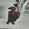 ic3_br3ak3r