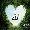 user2314534021367