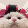 iluvmianh